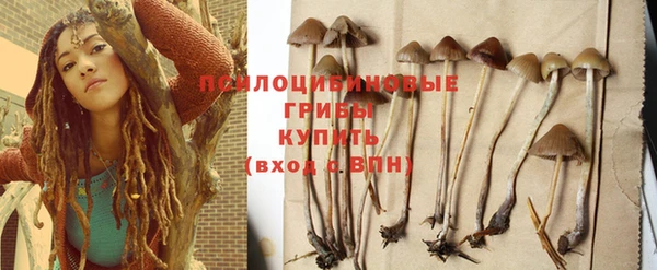 дмт Армянск