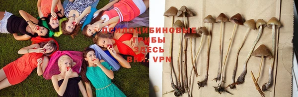Альфа ПВП Аркадак